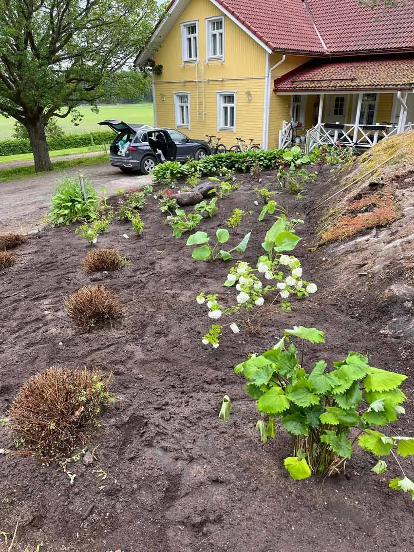 Taijan Kukka- ja Puutarhapalvelut