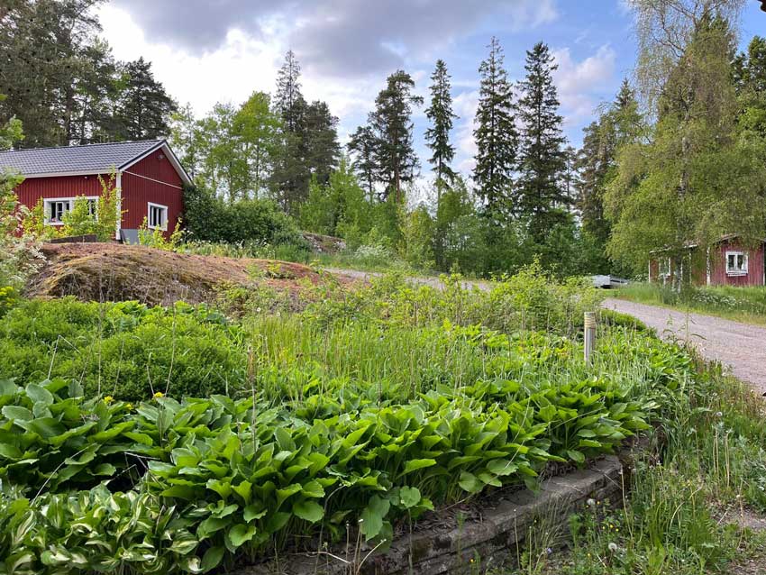 taijankukkajapuutarha